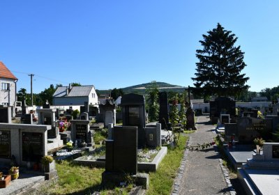 Křešice, Omnium, 2020