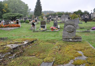 Levín, Omnium, 2020