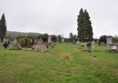 Levín, Omnium, 2020