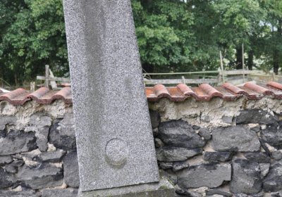 Levín, Omnium, 2020