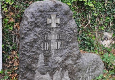 Levín, Omnium, 2020