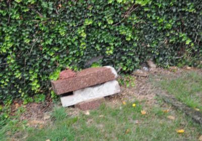 Levín, Omnium, 2020