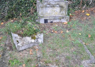 Levín, Omnium, 2020