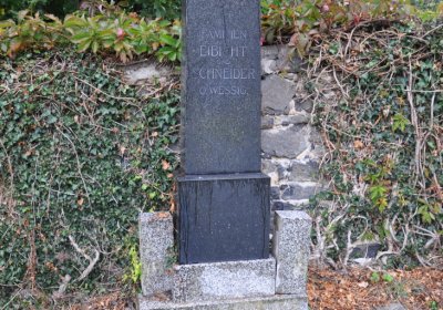 Levín, Omnium, 2020