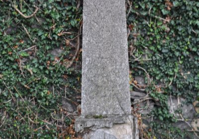 Levín, Omnium, 2020