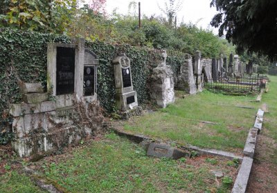 Levín, Omnium, 2020