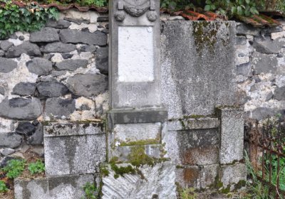 Levín, Omnium, 2020