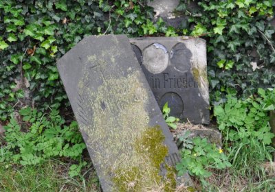 Levín, Omnium, 2020