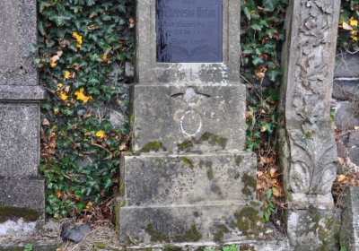 Levín, Omnium, 2020