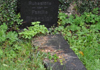 Levín, Omnium, 2020