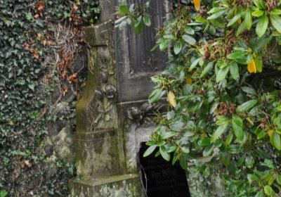 Levín, Omnium, 2020