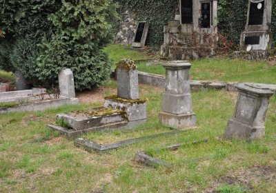 Levín, Omnium, 2020