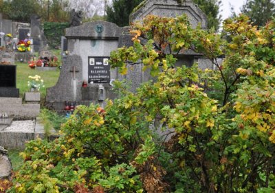 Levín, Omnium, 2020