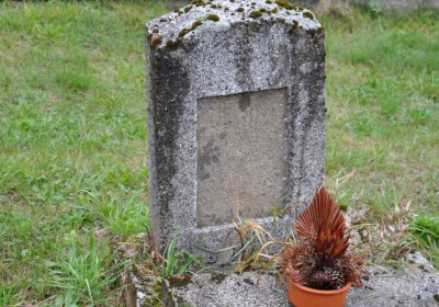 Levín, Omnium, 2020