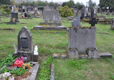 Levín, Omnium, 2020