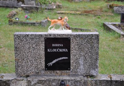 Levín, Omnium, 2020