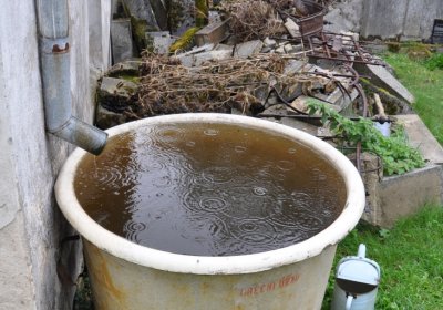 Levín, Omnium, 2020