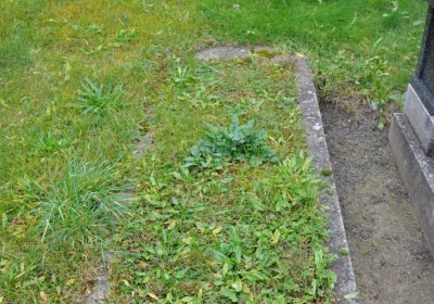 Libochovany, Omnium, 2020