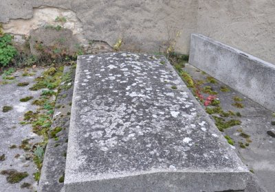 Libochovany, Omnium, 2020