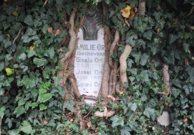 Libochovany, Omnium, 2020