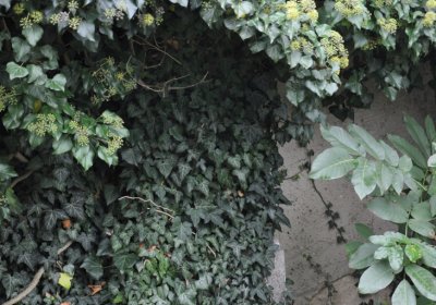 Libochovany, Omnium, 2020