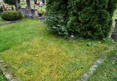 Libochovany, Omnium, 2020