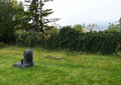 Libochovany, Omnium, 2020