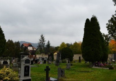 Libochovany, Omnium, 2020