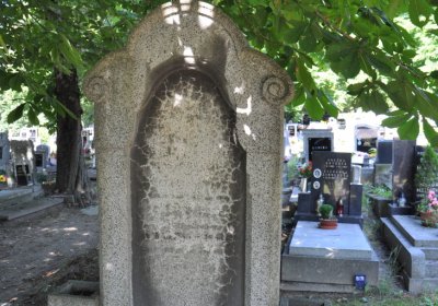 Litoměřice městský, Omnium, 2020