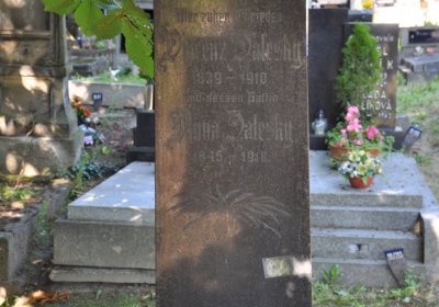 Litoměřice městský, Omnium, 2020