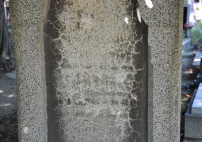 Litoměřice městský, Omnium, 2020