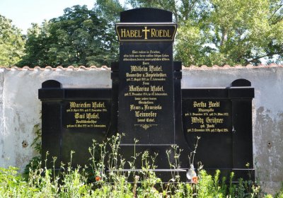 Litoměřice městský, Omnium, 2020