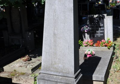 Litoměřice městský, Omnium, 2020