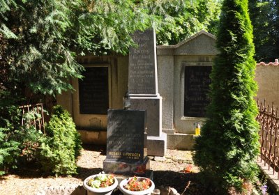 Litoměřice městský, Omnium, 2020