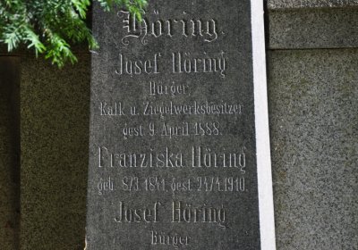 Litoměřice městský, Omnium, 2020