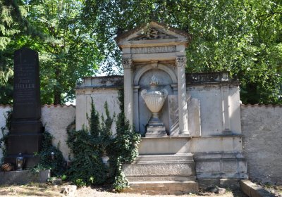 Litoměřice městský, Omnium, 2020