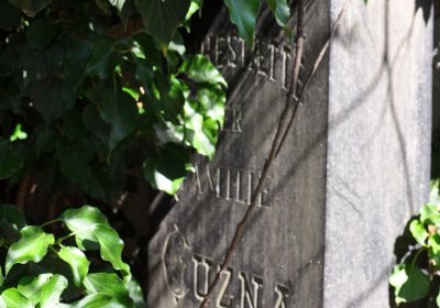 Litoměřice městský, Omnium, 2020