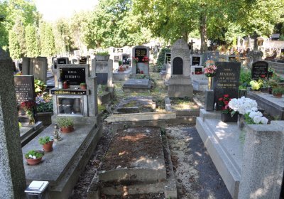 Litoměřice městský, Omnium, 2020