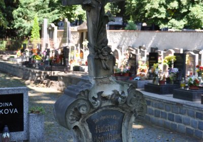 Litoměřice městský, Omnium, 2020