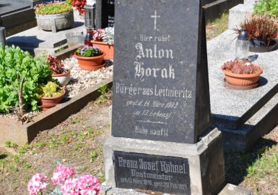 Litoměřice městský, Omnium, 2020