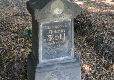 Litoměřice městský, Omnium, 2020