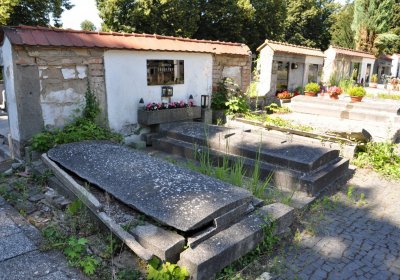 Litoměřice městský, Omnium, 2020