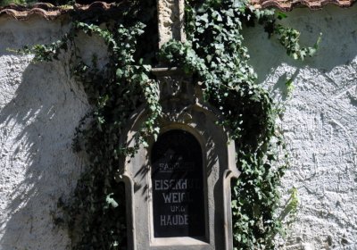 Litoměřice městský, Omnium, 2020