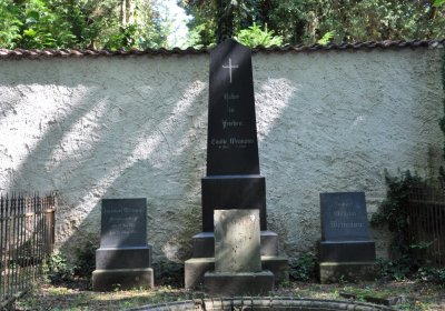 Litoměřice městský, Omnium, 2020
