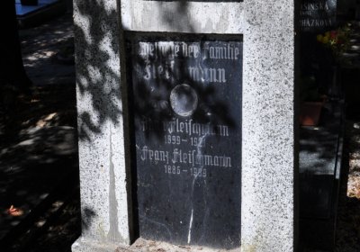 Litoměřice městský, Omnium, 2020