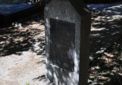Litoměřice městský, Omnium, 2020