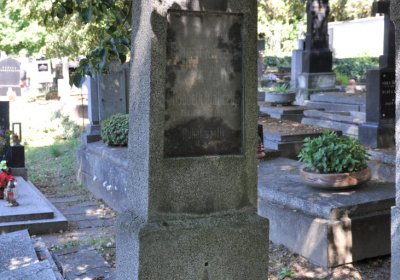 Litoměřice městský, Omnium, 2020