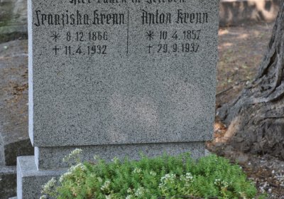 Litoměřice městský, Omnium, 2020