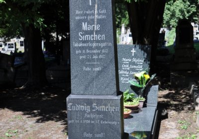Litoměřice městský, Omnium, 2020