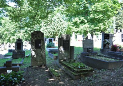 Litoměřice městský, Omnium, 2020